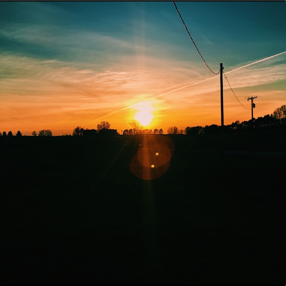 Meet your Posher, Maddie